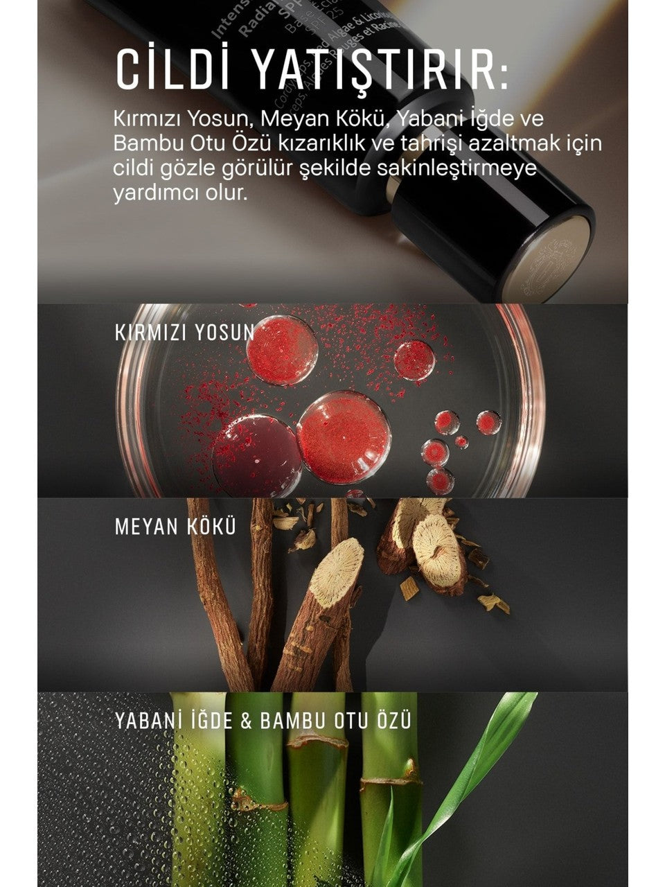 Bobbi Brown Face Primer 3