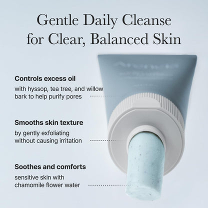 Arencia Hyssop Sebum Control Rice Cake Cleanser 150g | Oil Control Cleansing Bar